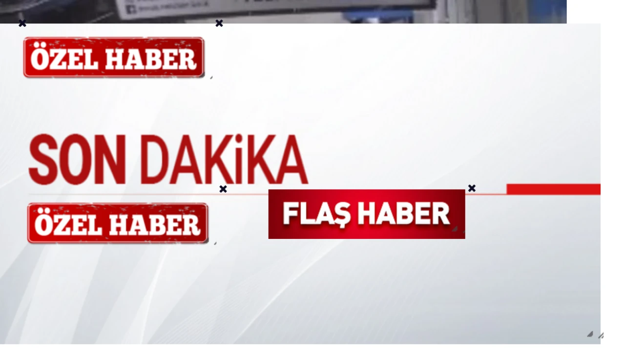 Bursa'da Kediyi Kıskanan Köpek, Mama Kabını Çalarak Kaçtı! O Anlar Güvenlik Kamerasına Yansıdı