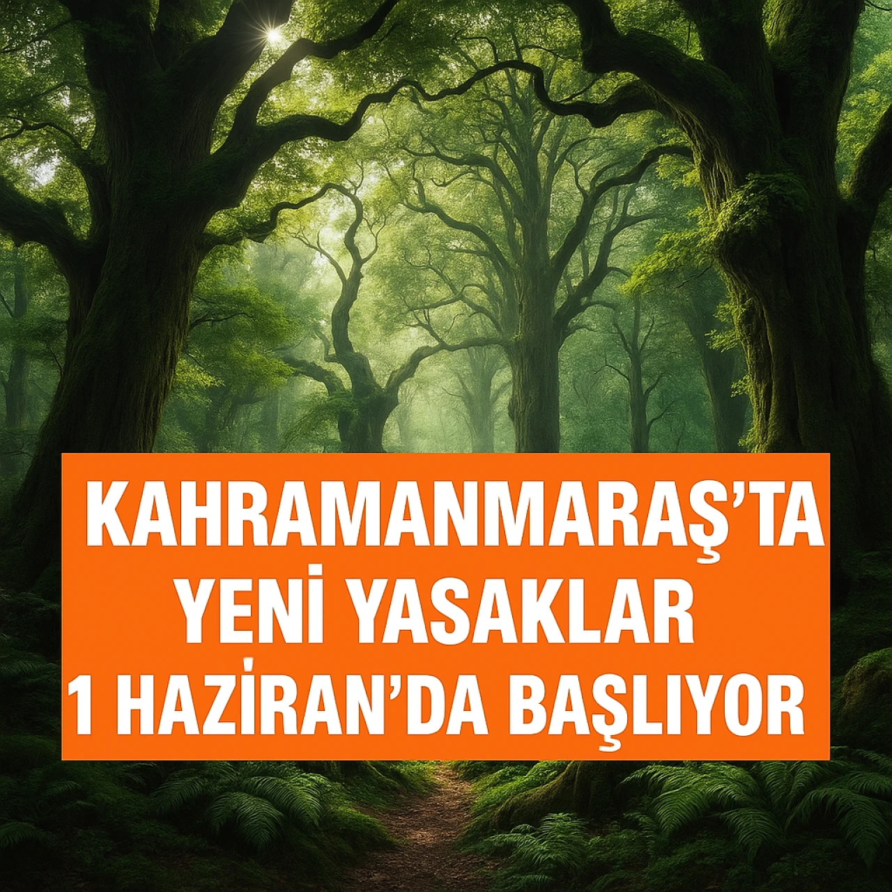 Kahramanmaraş'ta Yeni Yasaklar 1 Haziran'da Başlıyor