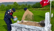 Yozgat'taki şehitliklerde yenileme çalışmaları hız kazandı!