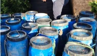 İzmir Körfezi'nde nadir deniz canlıları ele geçirildi | Son dakika gelişmesi