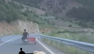 Hayvan Hakları Yasası kapsamında, hayvana yapılan zulme ağır ceza geliyor!