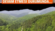 Kamp Severler Dikkat! Ormanlık Alanlara Girişler Yasaklanıyor, Piknik Planlarınızı Gözden Geçirin!