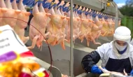 Şenpiliç Tavuk Ürünlerinde Kahramanmaraş’ta Yeni Dönem Başlıyor!