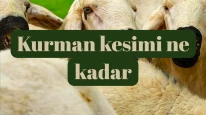 2025 yılında vekalet yoluyla kurban kesim ücreti belirlendi! Diyanet İşleri ve Türk Kızılayı işbirliğiyle yapılan açıklamaya göre rakam belli oldu.