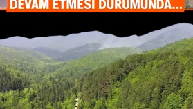 Kamp Severler Dikkat! Ormanlık Alanlara Girişler Yasaklanıyor, Piknik Planlarınızı Gözden Geçirin!
