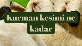 2025 yılında vekalet yoluyla kurban kesim ücreti belirlendi! Diyanet İşleri ve Türk Kızılayı işbirliğiyle yapılan açıklamaya göre rakam belli oldu.