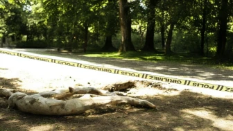 Kahramanmaraş'ta Parkta Erkek Cesedi Bulundu