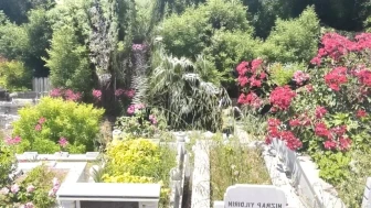 İstanbul'da korkunç olay! Arnavutköy'de mezarlıkta yeni doğmuş bir bebeğin cansız bedeni bulundu