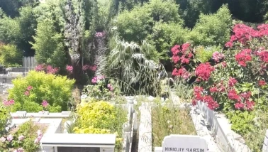 İstanbul'da korkunç olay! Arnavutköy'de mezarlıkta yeni doğmuş bir bebeğin cansız bedeni bulundu
