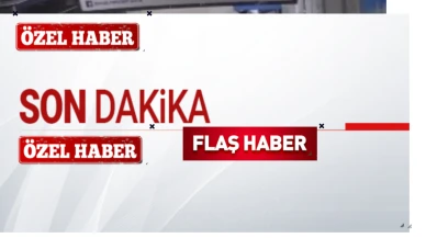 Bursa'da Kediyi Kıskanan Köpek, Mama Kabını Çalarak Kaçtı! O Anlar Güvenlik Kamerasına Yansıdı