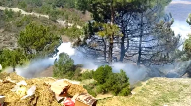 Kütahya'daki orman yangını ekipler tarafından kontrol altına alındı, bölgedeki yangın söndürme çalışmaları başarıyla tamamlandı.