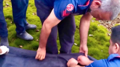 Kahramanmaraş'ta suya girdikten sonra boğularak hayatını kaybeden genç, acı bir şekilde yaşamını yitirdi.