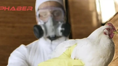 ABD'de H5N1 Kuş Gribi Vakaları Artıyor: Uzmanlar Uyarıyor