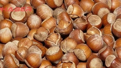 Fındık fiyatlarındaki dalgalanma devam ederken son durum ne?