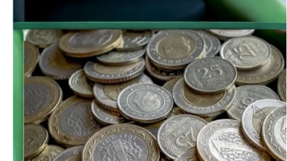 Madeni Paraların Değerlenme Süreci ve Koleksiyon Tutkunlarının Merakı
