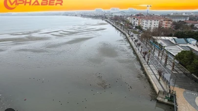Silivri'de Deniz Seviyesinde Yaşanan Azalma Endişe Yaratıyor: Bilim İnsanları Tsunami Riskini ve Çevresel Etkileri Değerlendiriyor!