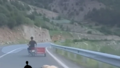 Hayvan Hakları Yasası kapsamında, hayvana yapılan zulme ağır ceza geliyor!