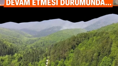 Kamp Severler Dikkat! Ormanlık Alanlara Girişler Yasaklanıyor, Piknik Planlarınızı Gözden Geçirin!