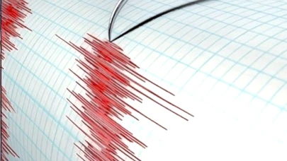 Arjantin'de Meydana Gelen 7.4 Şiddetindeki Deprem Paniğe Neden Oldu!