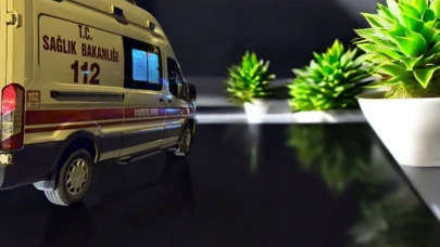 Elazığ'da yaşanan silahlı olayda 2 kişi yaralandı, polis soruşturma başlattı.
