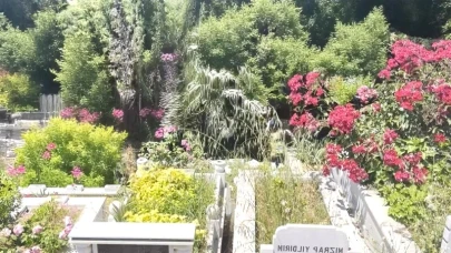 İstanbul'da korkunç olay! Arnavutköy'de mezarlıkta yeni doğmuş bir bebeğin cansız bedeni bulundu