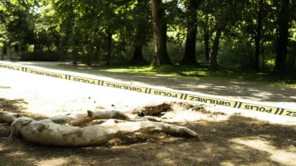 Kahramanmaraş'ta Parkta Erkek Cesedi Bulundu