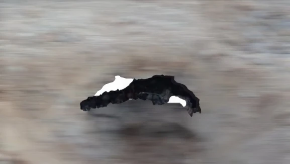 Kahramanmaraş'ta bulunan kafatası ve kemik parçaları olayı büyük paniğe neden oldu.