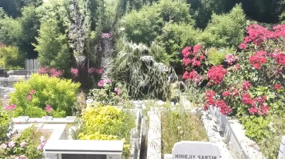 İstanbul'da korkunç olay! Arnavutköy'de mezarlıkta yeni doğmuş bir bebeğin cansız bedeni bulundu